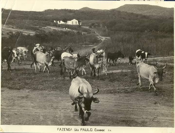 Fazenda São Paulo